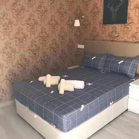 Selin Apartment *